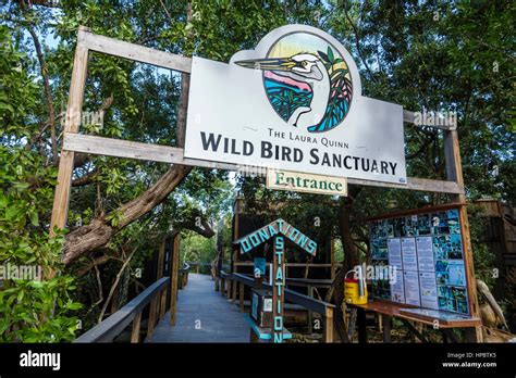 quinn wild|Laura Quinn Wild Bird Sanctuary .